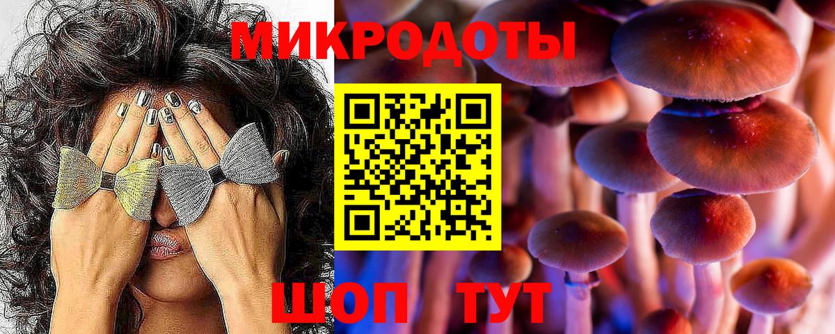 Галлюциногенные грибы Cubensis Феодосия
