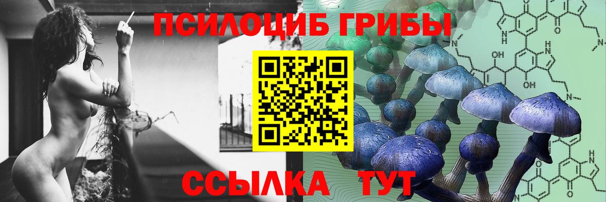 Феодосия  Галлюциногенные грибы Psilocybe  Вход с VPN 